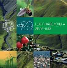 COP29 - Цвет надежды - Зеленый